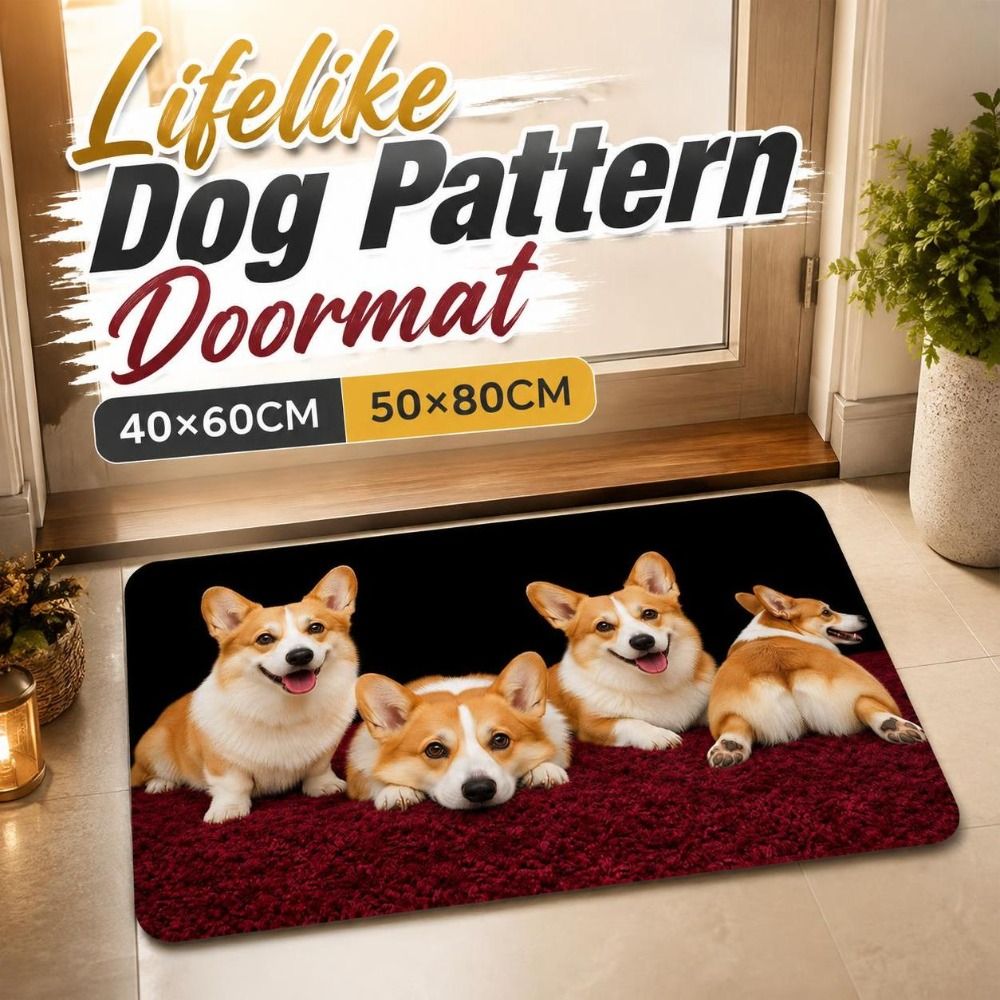 Alfombra de suelo duradera con - Quick Dry Diatomite Bath Mat reseña y precio